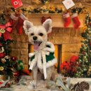 아르떼몽 이미지