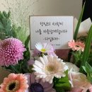 부천꽃집데이브앤스텔라플라워즈 이미지