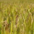 선린약국 이미지