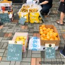 지곡1통 네이버블로그