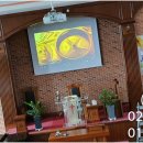 디엠에스 주식회사 이미지