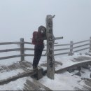 영실 관리사무소 화장실 | [제주]한라산 눈꽃산행 어리목~영실코스, 소요시간