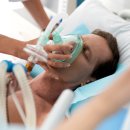 코로나 숨겨진 공포를 폭로 이미지