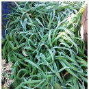 품속농장 이미지