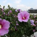 꽃들나라 - 계양구 새벌로 130 | 꽃들나라