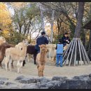 151차 행복테마 가산수피아,송년모임 이미지