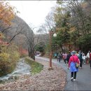 진안마이산(장수) 이미지