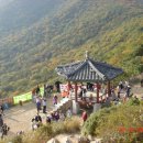 부현동초등학교 이미지