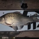 대류한버들낚시터 이미지