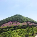만연산생태숲공원 공중화장실 이미지