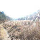 251114 김건희 샤넬가방·구두·목걸이 법정서 첫 공개 이미지