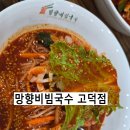 평택고덕 망향비빔국수 후기 아기랑 가기 좋은 고덕 점심맛집