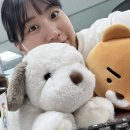 용용PC 이미지