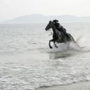 말달리자