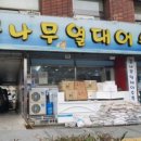 꿈나무 열대어 네이버블로그