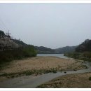 화림골 Daum카페