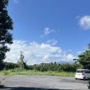 선흘숲 | 조천숙소 (내돈내산) | 제주 동쪽 한달살기 숙소 추천, 제주 에어비앤비 커플 숙소 후기 :: 아다지오 선흘