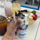 요고프로즌요거트 - 강남구 도곡로21길 15 | 요고프로즌요거트