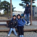 건농종묘농약사 이미지