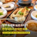(주)양주환경산업 | 주말 꽃놀이 후 실패 없는 든든한 한식 한 끼, 양주 나리농원 근처 맛집