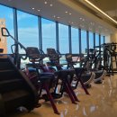 머슬메모리짐 이미지