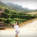 남해 Season 이미지