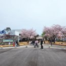 동락공원 자전거대여소(하절기) 이미지