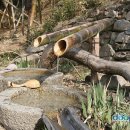 개미공인중개사사무소 이미지