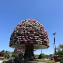 영산강로 이미지