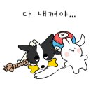 5959 내강아지 이미지