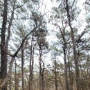 수원-1202 이미지