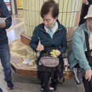 제503차 역사탐방웰빙산행후기9/25 목요일 산행은 오마공원 주엽역을 거쳐 일산 호수공원 꽃박람회 이미지