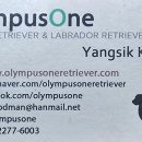 올림푸스원 이미지