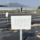 🥔감자밭에서 감자씨를 심었어요🤎 / 방과후 - 호크마, 한자 이미지