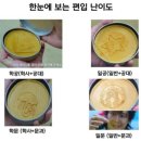 장황열 | 장황한 일문편입 합격 수기 💡