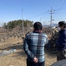 성화식당 이미지