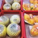 한양스토아 이미지