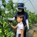 근성농장 이미지