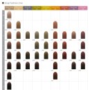 로마미용실 - 미추홀구 | 로마미용실