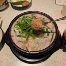 강남집순대국 | [강남역] 담원순대 :: 한그릇 단돈 1만원 | 강남 5대 순대국 맛집 웨이팅 후기 | 강남직장인 아침·점심...