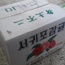 유림청과 이미지