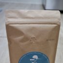 비올레띠 이미지