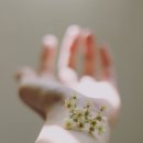 사단법인누가참의원 이미지