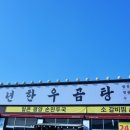 정곰탕 - 경산시 대학로8길 7 | 정곰탕