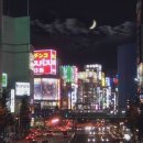 심야식당 이미지