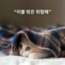 테마룸 이미지