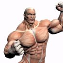 터미널 헬스 이미지