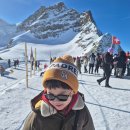 (초1~2) 즐거운 그림책 생활 | 겨울방학 때 뭐 하지? 초1 손자들과 이것부터 했다