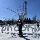 불새노래방 | [25/26] 평창 휘닉스파크 스키, 콘도 후기/꿀팁