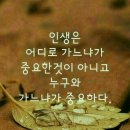 마전교 - 정선군 | 마전교